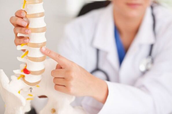 the doctor demonstrates a model of the spine